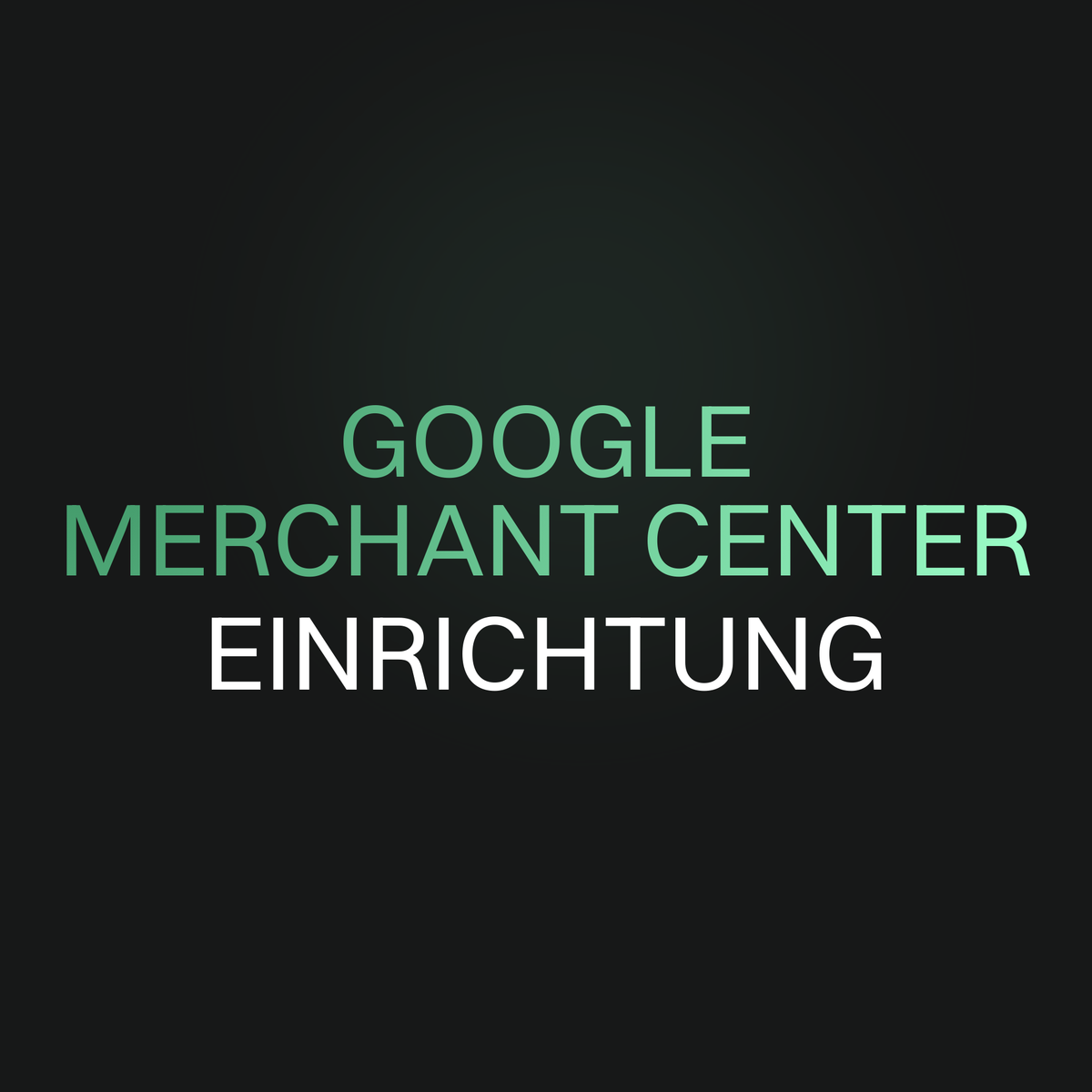 Google Merchant Center Einrichtung