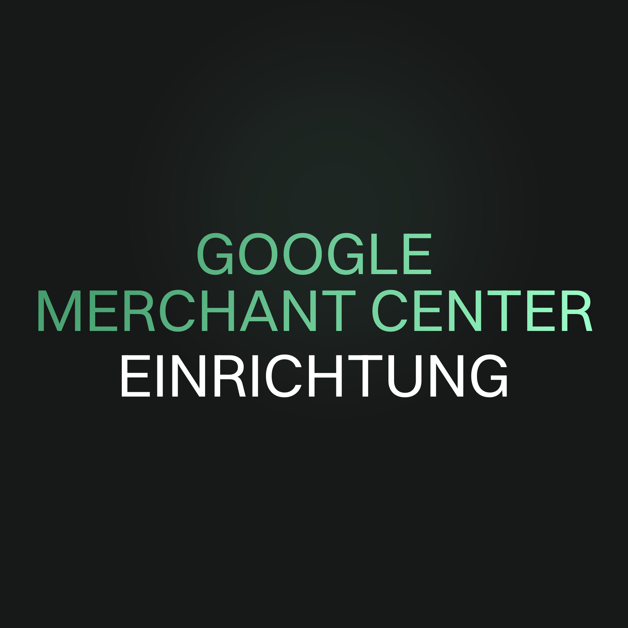 Google Merchant Center Einrichtung